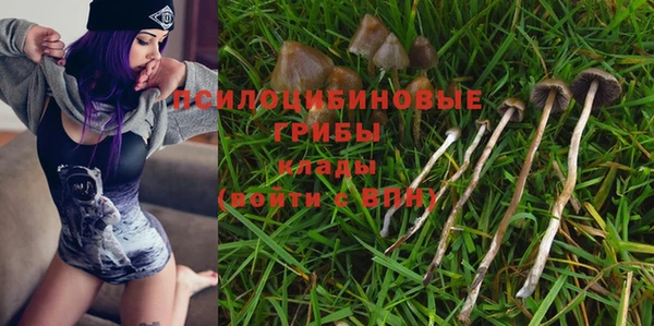 дмт Галич