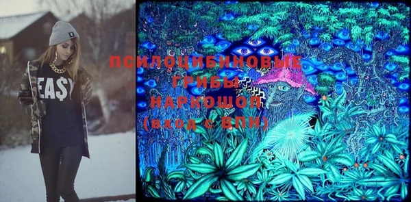дмт Галич