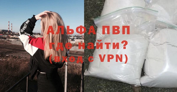 дмт Галич