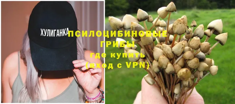 Галлюциногенные грибы MAGIC MUSHROOMS  где продают наркотики  Жирновск 