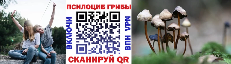 Галлюциногенные грибы Cubensis Жирновск